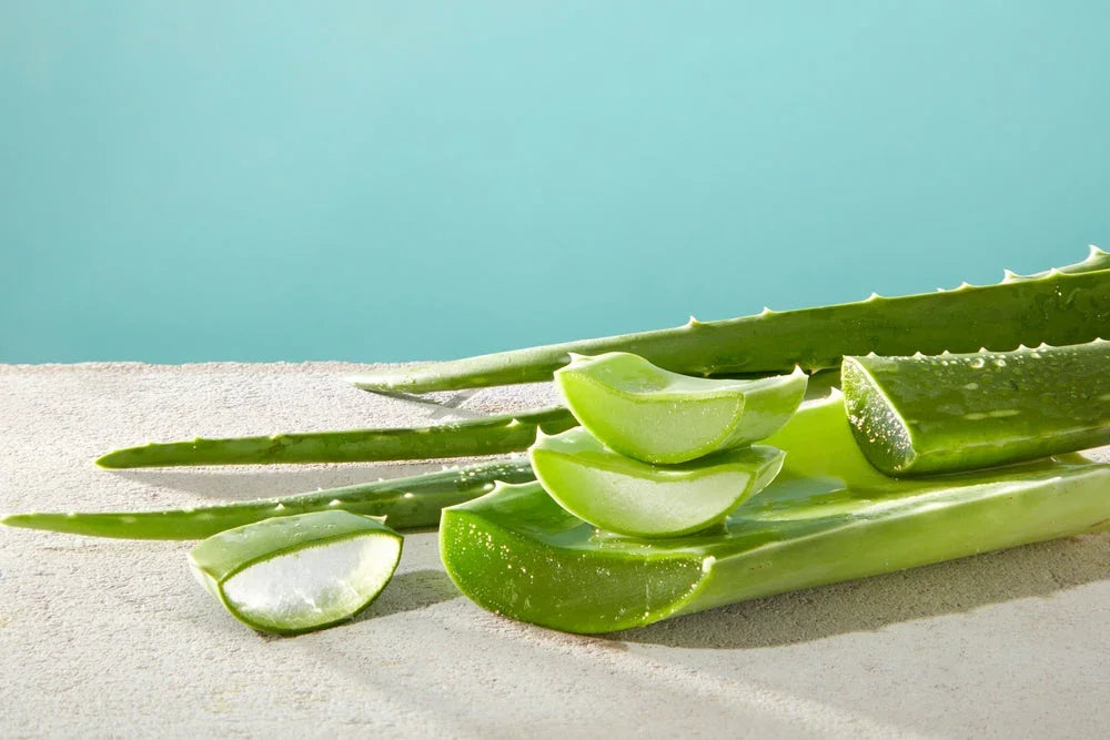 January Star Ingredient: Aloe Vera