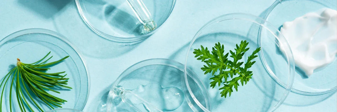 The magic of green ingredients in your face pack
