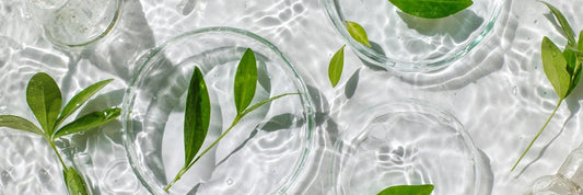 What does it mean to be herbal?