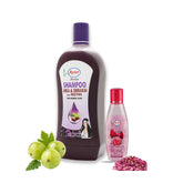 Ayur Herbals Amla Shikakai With Reetha Shampoo 1 litre (Free Rose water 100ml)
