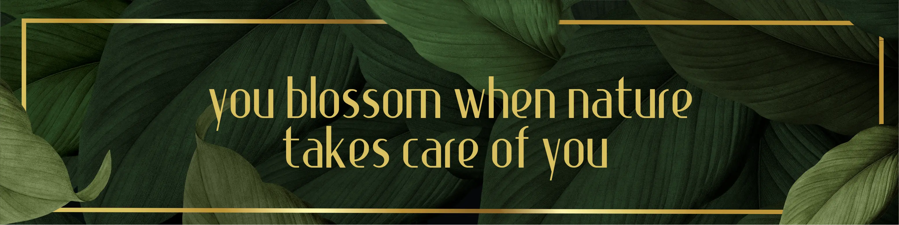 ayur herbals official website