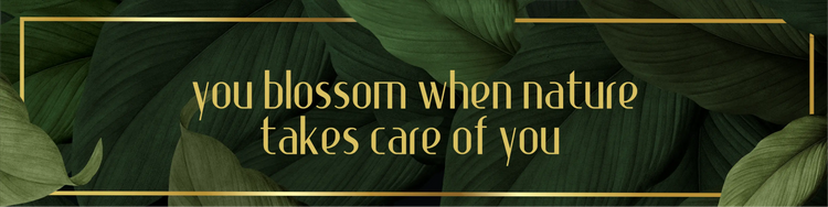 ayur herbals official website